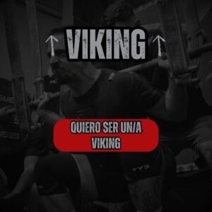 PLAN-VIKING